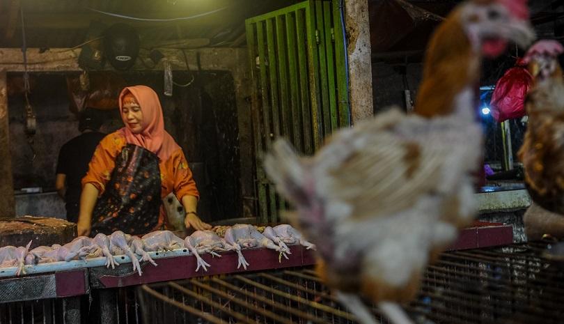 Penjualan Ayam Potong Wajib Bersertifikat Halal Mulai Oktober