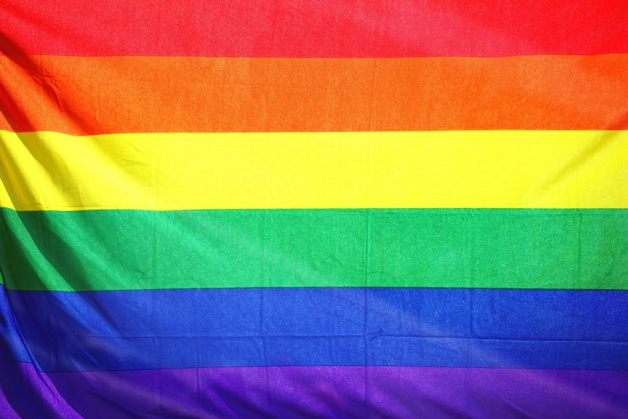 BKKBN Ingin Kepala Daerah Bikin Perda untuk Perangi LGBT?