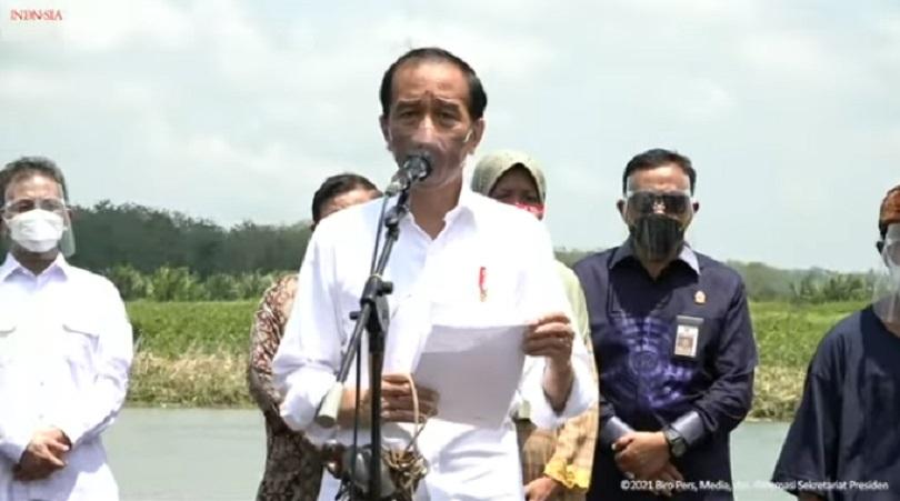 Cegah Abrasi, Jokowi Ingatkan Pentingnya Tanam Mangrove